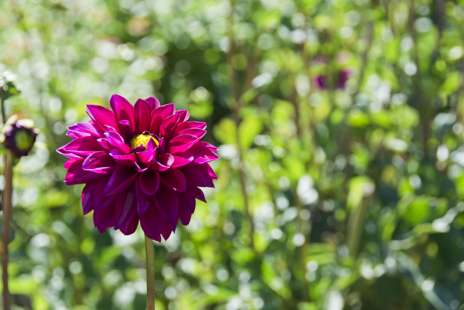 The Family Behind Sunrise Nursery PCFMA
